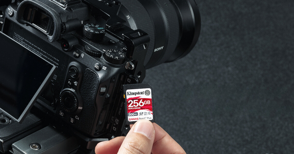 Kingston Canvas React Plus V60 256GB SD Card Review: The Ultimate Choice for Professionals